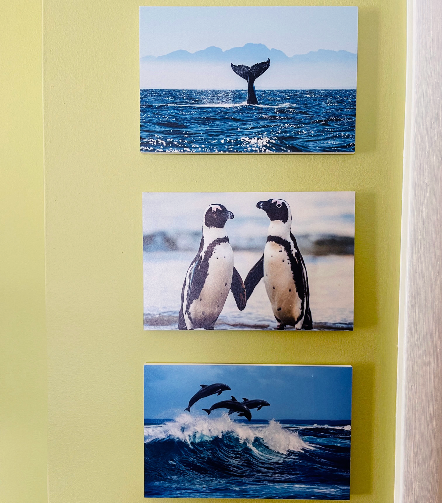 Art on PVC
